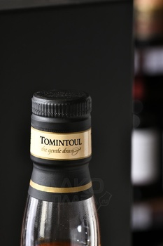 Tomintoul Speyside Glenlivet - виски Томинтоул Спейсайд Гленливет 25 лет 0.7 л