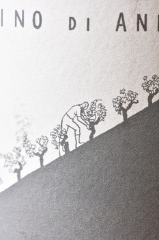 Vino di Anna Bianco VdT - Вино ди Анна Бьянко ВдТ 0.75 л белое сухое