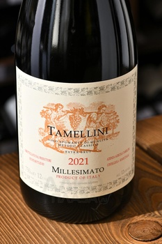 Tamellini Millesimato Extra Brut - вино игристое Тамеллини Миллезимато Экстра Брют 0.75 л белое экстра брют