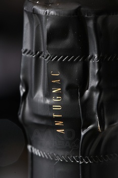 Delmas Tradition Blanquette de Limoux - вино игристое Дельмас Бланкет де Лиму Традисьон 0.75 л белое брют