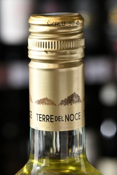 Mezzacorona Terre del Noce Pinot Grigio - вино Терре дель Ноче Пино Гриджио 0.75 л белое сухое