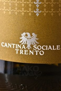 Goccia d’Oro Gewurztraminer - вино Гоча д’Оро Гевюрцтраминер 2023 год 0.75 л белое полусухое