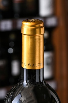 Elena Walch Castel Ringberg Pinot Grigio Alto Adige DOC - вино Елена Вальх Кастель Рингберг Пино Гриджио 0.75 л белое сухое