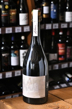 Champagne Olivier Horiot Ailleurs - шампанское Шампань Оливье Орио Айор 2019 год 0.75 л белое экстра брют