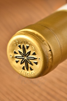 Plenio Verdicchio dei Castelli di Jesi DOC Classico Riserva - вино Пленио Вердиккио дей Кастелли ди Йези Классико Ризерва 0.75 л белое сухое