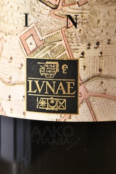 Cavagino Vermentino Colli di Luni DOC - вино Каваджино Колли ди Луни Верментино ДОК 0.75 л белое сухое