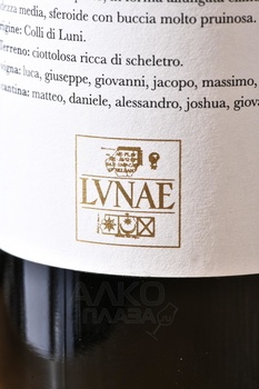 Albarola Colli di Luni DOC - вино Альбарола ДОК Колли ди Луни 0.75 л белое сухое