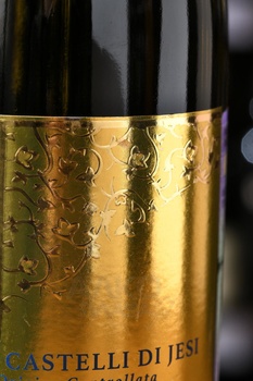 Il Conte Villa Prandone, Verdicchio dei Castelli di Jesi - вино Иль Конте Вилла Прандоне Вердиккио дей Кастелли ди Йези 0.75 л белое сухое