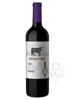 Patagonia Marantiqua Pinot Noir - сухое вино Патагония Марантикуа Пино Нуар 0.75 л