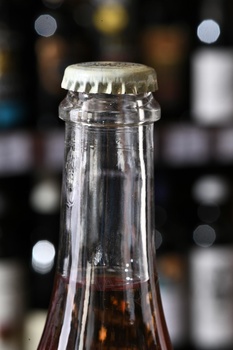 Lambrusco di Sorbara Radice Paltrinieri - вино игристое Ламбруско ди Сорбара Радиче 0.75 л