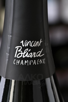 Champagne Sylve Premier Cru - шампанское Шампань Сильв Премье Крю 2014 год 0.75 л белое экстра брют