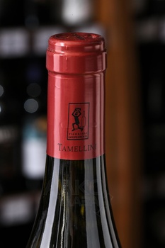 Soave Classico Le Bine De Costiola DOC - вино Соаве Классико Ле Бин Де Костиола ДОК 0.75 л белое сухое