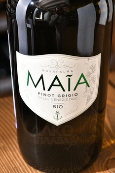 Novapalma Pinot Grigio delle Venezie - вино Новапальма Пино Гриджо делле Венецие 0.75 л белое полусухое