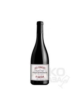 Jean Paul Dubost Cerise d’Antan Coteaux Bourguignons AOC - вино Жан Поль Дюбост Сериз д’Антан Кото Бургиньон 0.75 л красное сухое