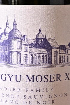 Changyu Moser XV Moser Family Blanc de Noir Ningxia - вино Чанью Мозер XV Мозер Фэмили Блан де Нуар Нинся 2021 год 0.75 л белое сухое