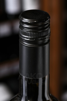 Vale do Homem Branco - вино Вале ду Омем Бранко 2023 год 0.75 л белое сухое