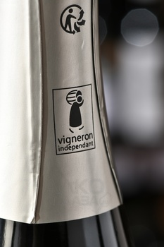 Champagne Blanc De Noirs Le Guedard - шампанское Шампань Блан де Нуар Ле Гедар 2017 год 0.75 л брют белое