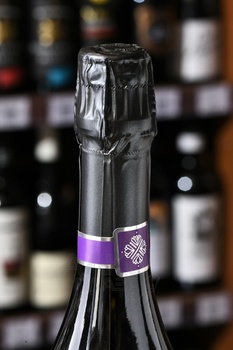 Paradoxe Blanc de Noirs Millesime Grand Cru Brut Nature - шампанское Парадокс Блан де Нуар Миллезим Гран Крю Брют Натюр 0.75 л белое брют натюр