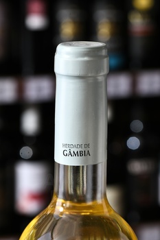 Herdade de Gambia Branco - вино Эрдаде де Гамбия Бранко 2022 год 0.75 л белое сухое