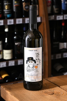 Вино Трезвая голова Сибирьковый+Пино Гри 0.75 л белое сухое