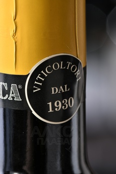 Talis Pinot Bianco Collio DOC - вино Талис Пино Бьянко Коллио ДОК 0.75 л белое сухое