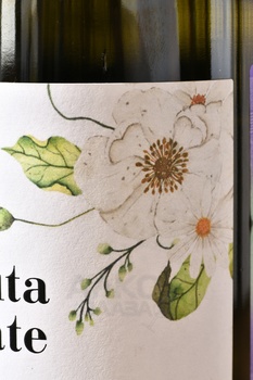 Tenuta Casate Sauvignon - вино Тенута Казате Совиньон 2022 год 0.75 л белое сухое