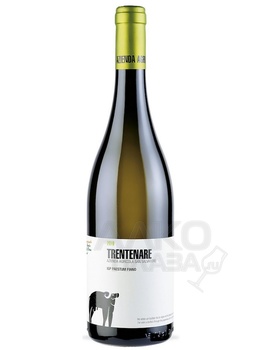 Sant Salvatore Trentenare Fiano - сухое вино Пестум Сан Сальваторе Трентенаре Фиано 0.75 л