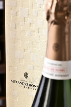 Alexandre Bonnet Blanc de Noirs - шампанское Александр Бонне Блан Де Нуар 0.75 л белое сухое в п/у