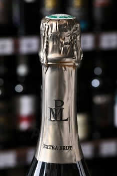 Paul Louis Martin Cuvee Vincent Vintage - шампанское Поль Луи Мартэн Кюве Винсэн Винтаж 2015 год 0.75 л белое экстра брют в п/у