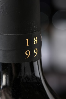 Pinot Grigio Terre Magre - вино Пино Гриджио Терре Магре 2023 год 0.75 л белое сухое