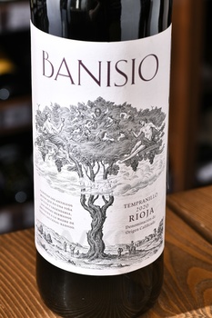 Banisio Tempranillo - вино Банисио Темпранильо 2020 год 0.75 л красное сухое